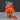Candy Autumn Mix