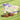 Enchanted Garden Assortment