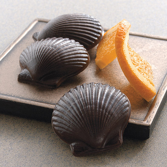 Sweet Shells | Dark Chocolate & Orange Crunch | Harbor Sweets