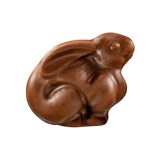 Moon Bunny