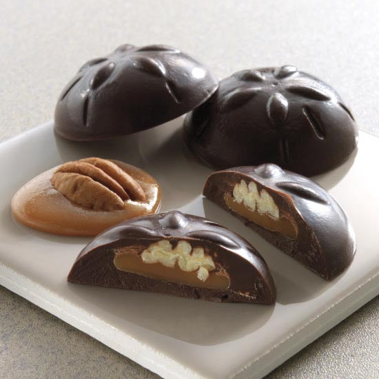 Chocolate Pieces Sand Dollars Gable Box - Harbor Sweets